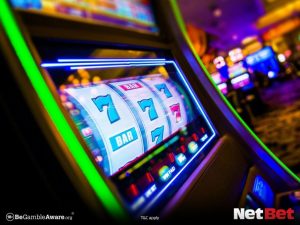 tyleaopg - Slot Bet Rápido